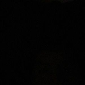 Meet your Posher, Jaime